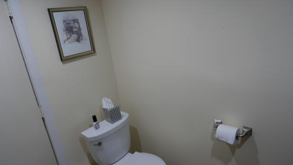 Half bath toilet